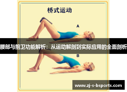 腰部与前卫功能解析：从运动解剖到实际应用的全面剖析