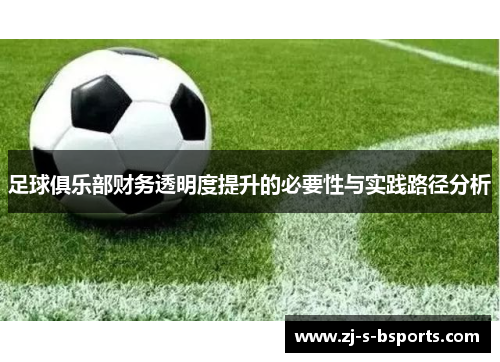 足球俱乐部财务透明度提升的必要性与实践路径分析 足球俱乐部财务透明度提升的必要性与实践路径分析