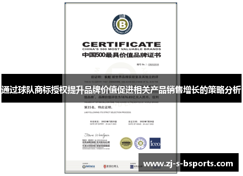 通过球队商标授权提升品牌价值促进相关产品销售增长的策略分析 通过球队商标授权提升品牌价值促进相关产品销售增长的策略分析