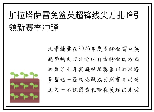 加拉塔萨雷免签英超锋线尖刀扎哈引领新赛季冲锋 加拉塔萨雷免签英超锋线尖刀扎哈引领新赛季冲锋
