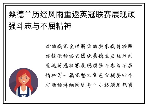 桑德兰历经风雨重返英冠联赛展现顽强斗志与不屈精神 桑德兰历经风雨重返英冠联赛展现顽强斗志与不屈精神