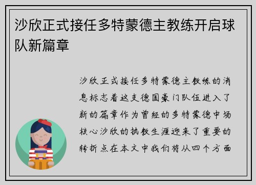 沙欣正式接任多特蒙德主教练开启球队新篇章